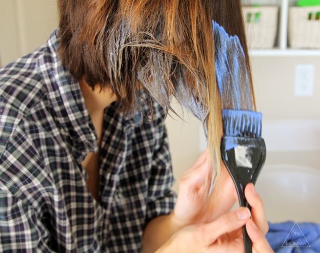 آمبره موی کوتاه در خانه