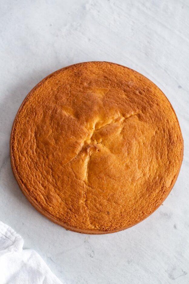 کیک اسفنجی 2