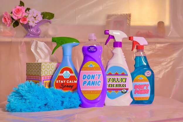 نحوه ضدعفونی کردن منزل و هر چیزی که در او هست