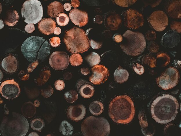 پارکت و کفپوش: راهنمای خرید و نصب