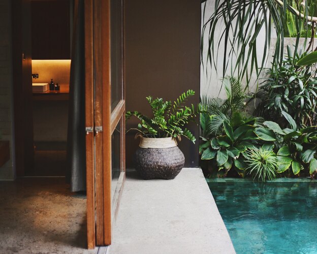 ۱۷ درختچه آپارتمانی برای هر اتاق خانه