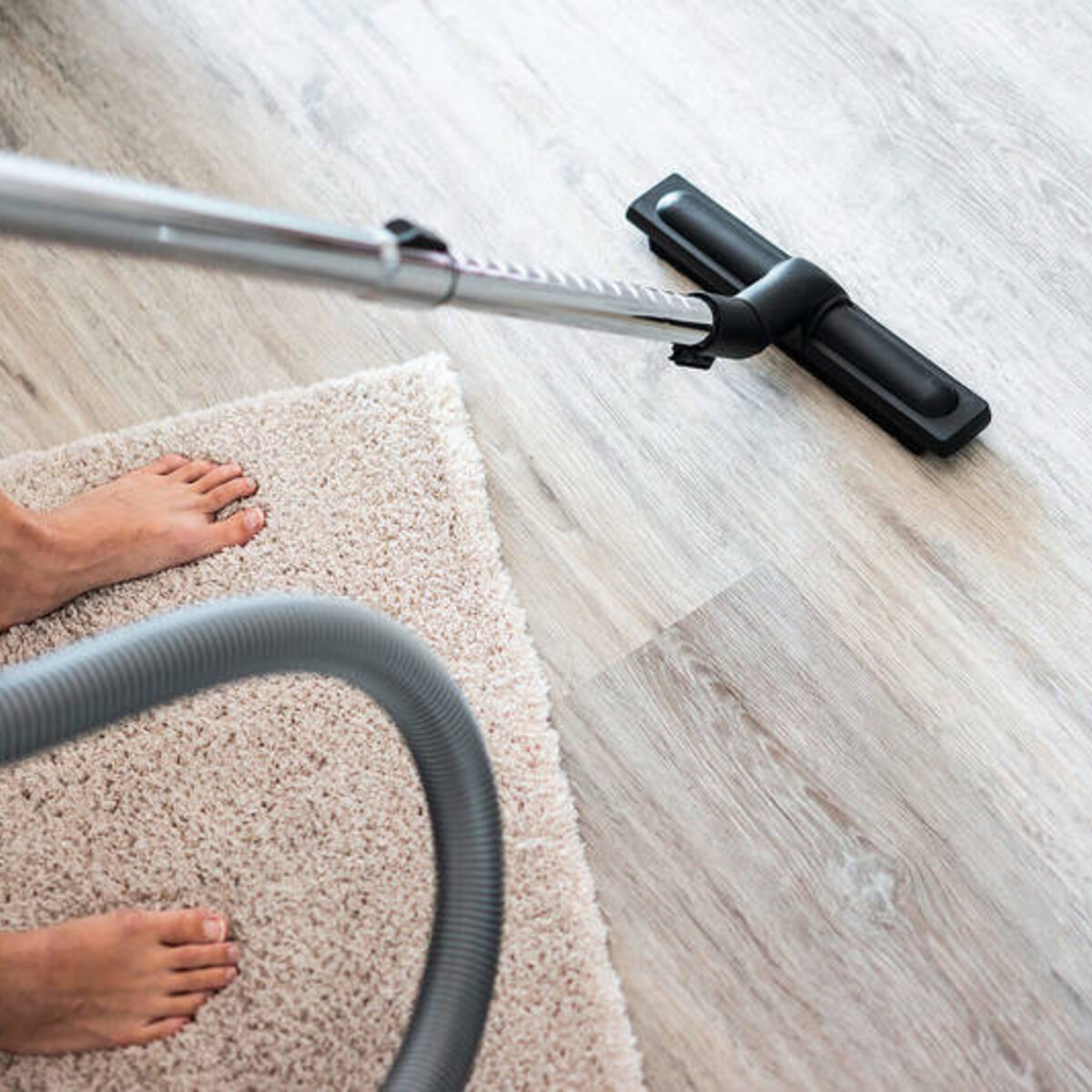 نحوه تمیز کردن چربی از روی فرش