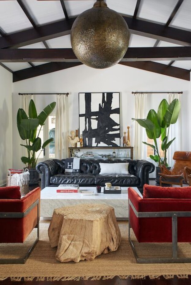 درختچه های آپارتمانی