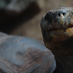 ۱۰ نکته برای افزایش سرعت گوشی اندروید