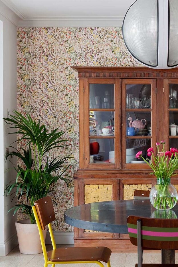 درختچه های آپارتمانی