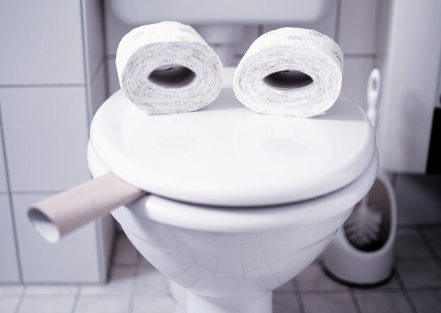 انواع توالت فرنگی