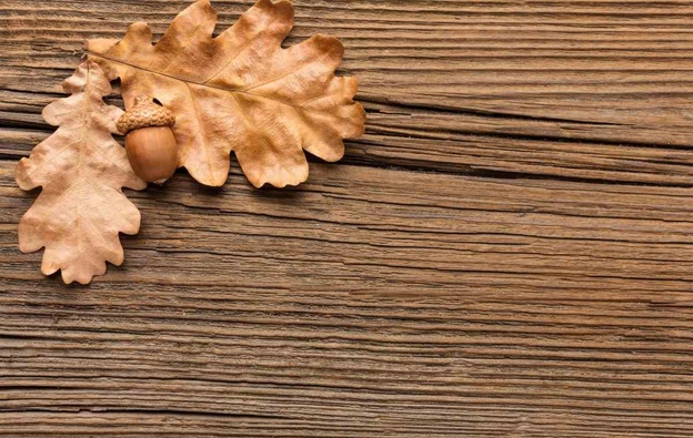 بهترین چوب برای مبل        