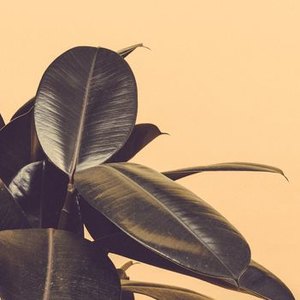 راهنمای انتخاب رنگ در نقاشی ساختمان