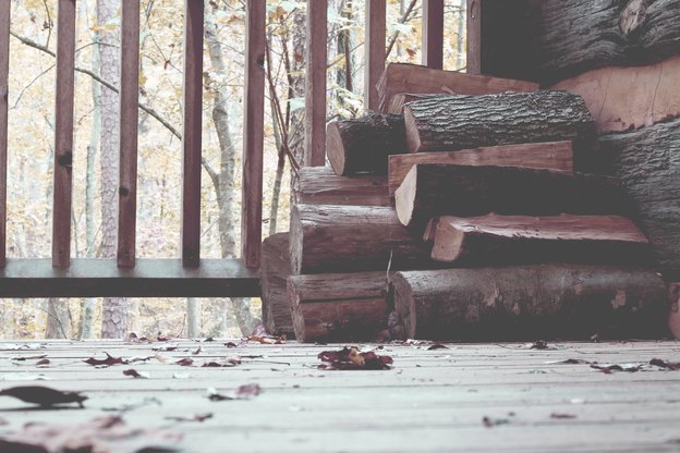 تفاوت بین مورچه نجار و موریانه 