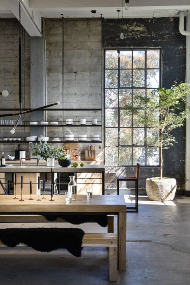 درختچه های آپارتمانی