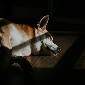 مقایسه سیستم گرمایشی کف؛ آب گرم یا الکتریکی؟