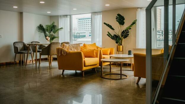 ۱۰ درختچه آپارتمانی برای سرسبز کردن خانه شما