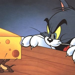 ۱۲ پرسش و پاسخ متداول درباره وجود موش در خانه