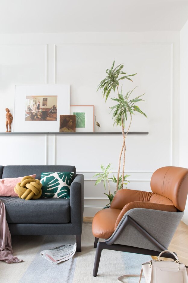 درختچه های آپارتمانی