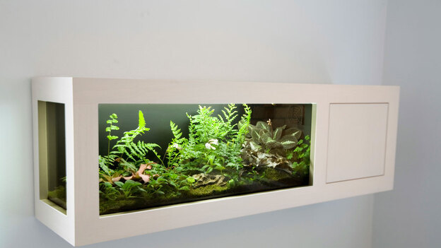 تراریوم سرخس