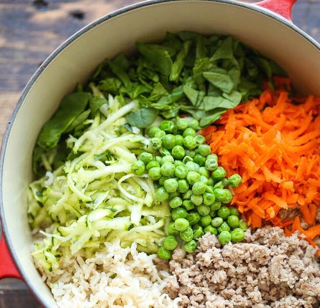 طرز تهیه غذای سگ در خانه