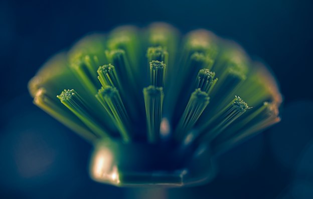 5 روش آسان برای قالیشویی با دست