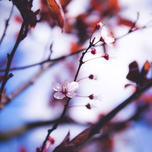 توصیه های قالیشویی در خانه تکانی