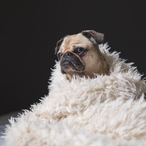 بسته بندی شکستنی ها برای باربری و اسباب کشی