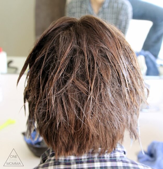 آمبره موی کوتاه در خانه