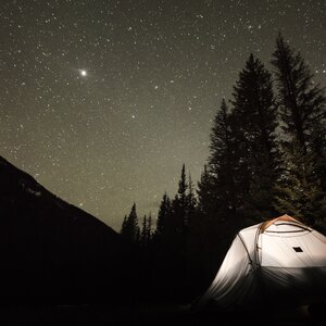 ۷ راه برای پیشگیری از گزش پشه ها