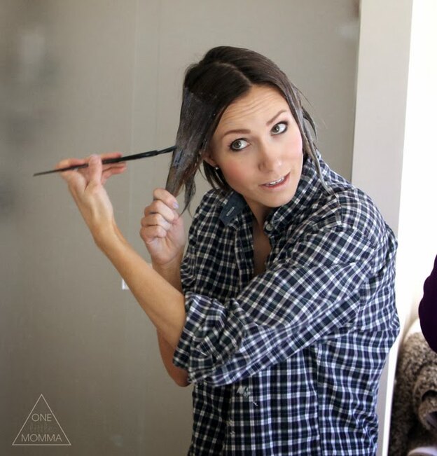 آمبره موی کوتاه در خانه