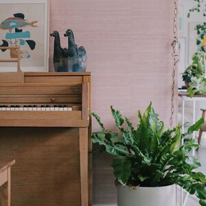 آموزش موسیقی: یادگیری پیانو