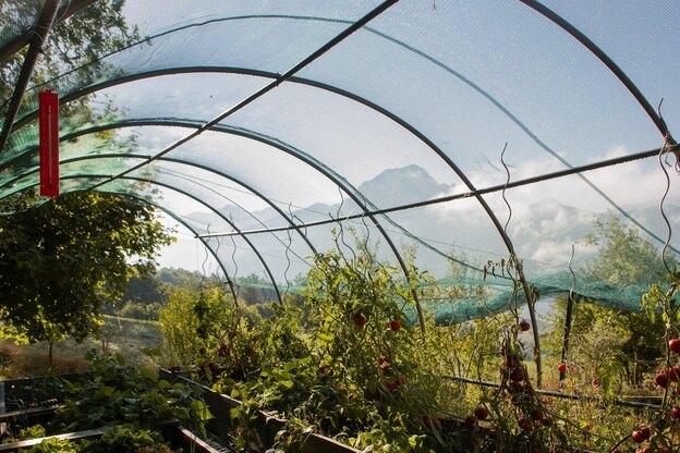 آموزش تعمیر سیستم مه پاش گلخانه ای