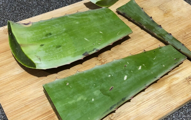 ژل آلوئه ورا