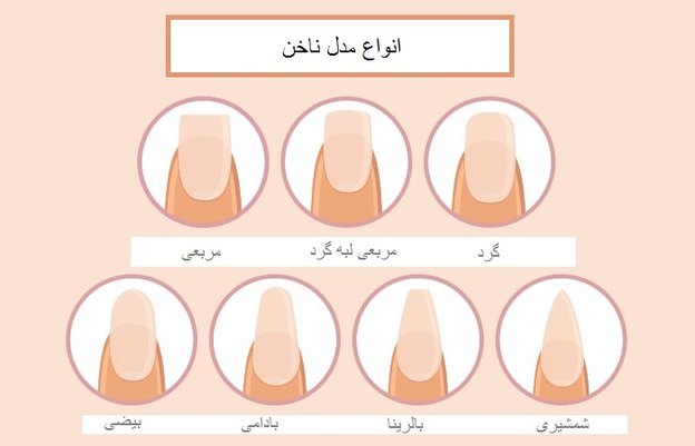 مدل های مختلف ناخن
