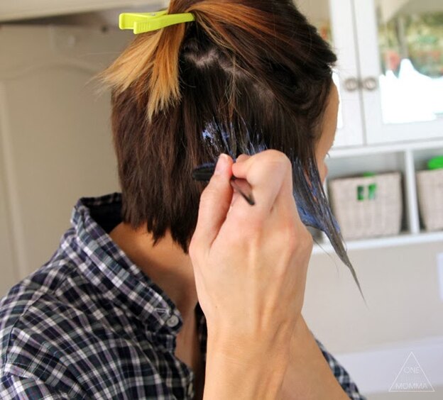 آمبره موی کوتاه در خانه