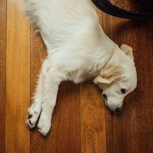 تعمیر و مراقبت پارکت و کفپوش لمینت 