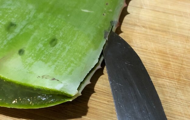 ژل آلوئه ورا