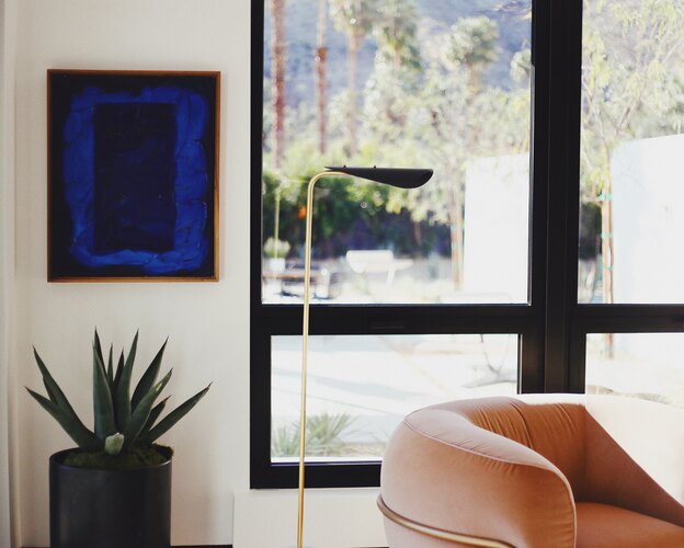 راهنمای کامل نگهداری از گیاهان آپارتمانی