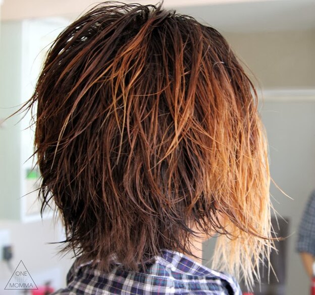 آمبره موی کوتاه در خانه