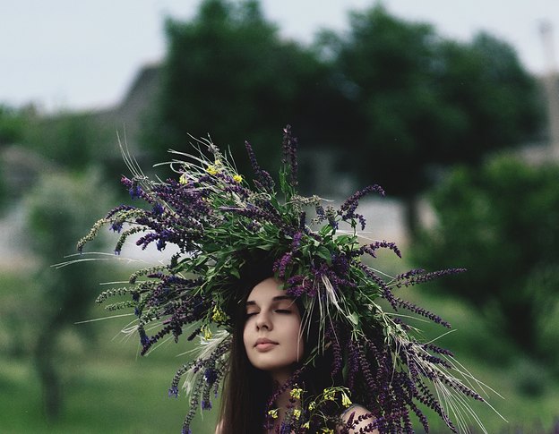 روغن گیاهان (Essential oils) در محصولات آرایشی ارگانیک