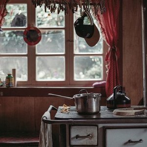 ۵ دلیل برای اینکه سطل زباله آشپزخانه را در کابینت نگذارید