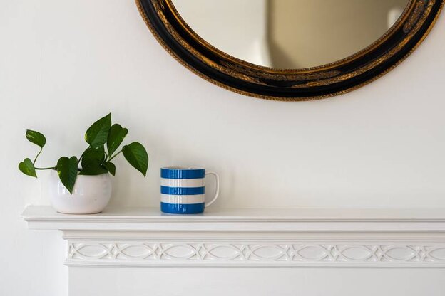 شوینده های خانگی که با مواد توی آشپزخانه تهیه می شوند