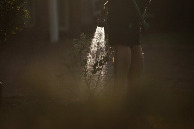 باغچه را چطور آب بدهیم؟