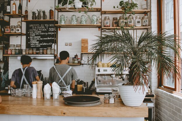 شناخت انواع درختچه های آپارتمانی زیبا