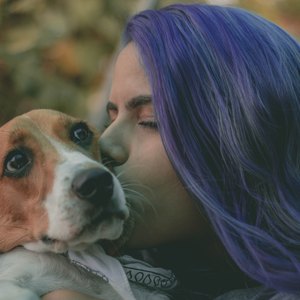 به حرف سگ گوش کنید!