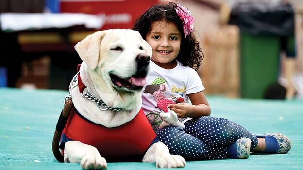 آموزش به سگها 2