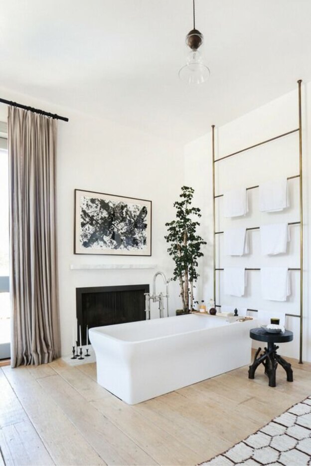 درختچه های آپارتمانی