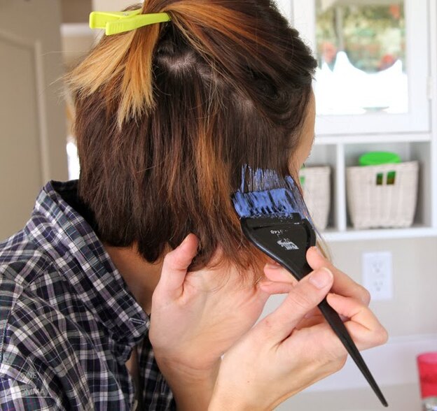 آمبره موی کوتاه در خانه