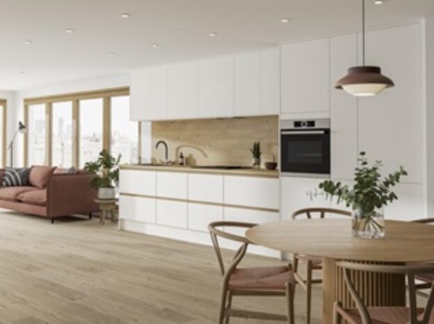  آشپزخانه ای دورنگ 2