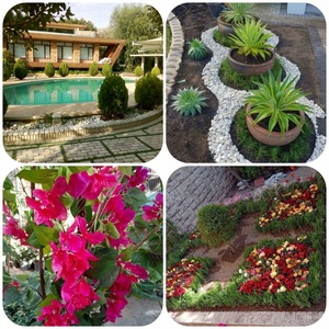 تصویر گالری