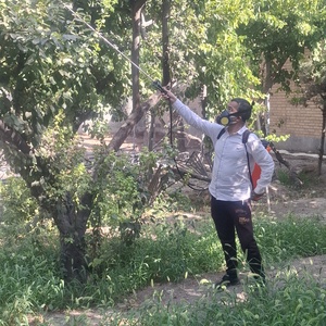 تصویر گالری