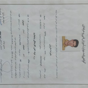 تصویر گالری