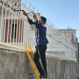 تصویر گالری