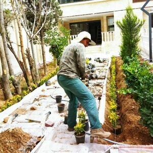 تصویر گالری